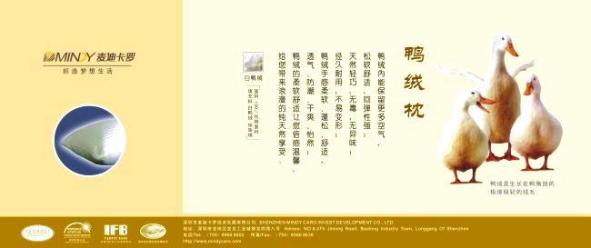 彩色卡纸